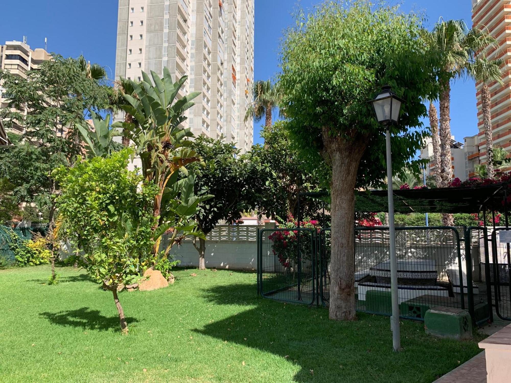 Gabriella Apartament Apartamento Benidorm