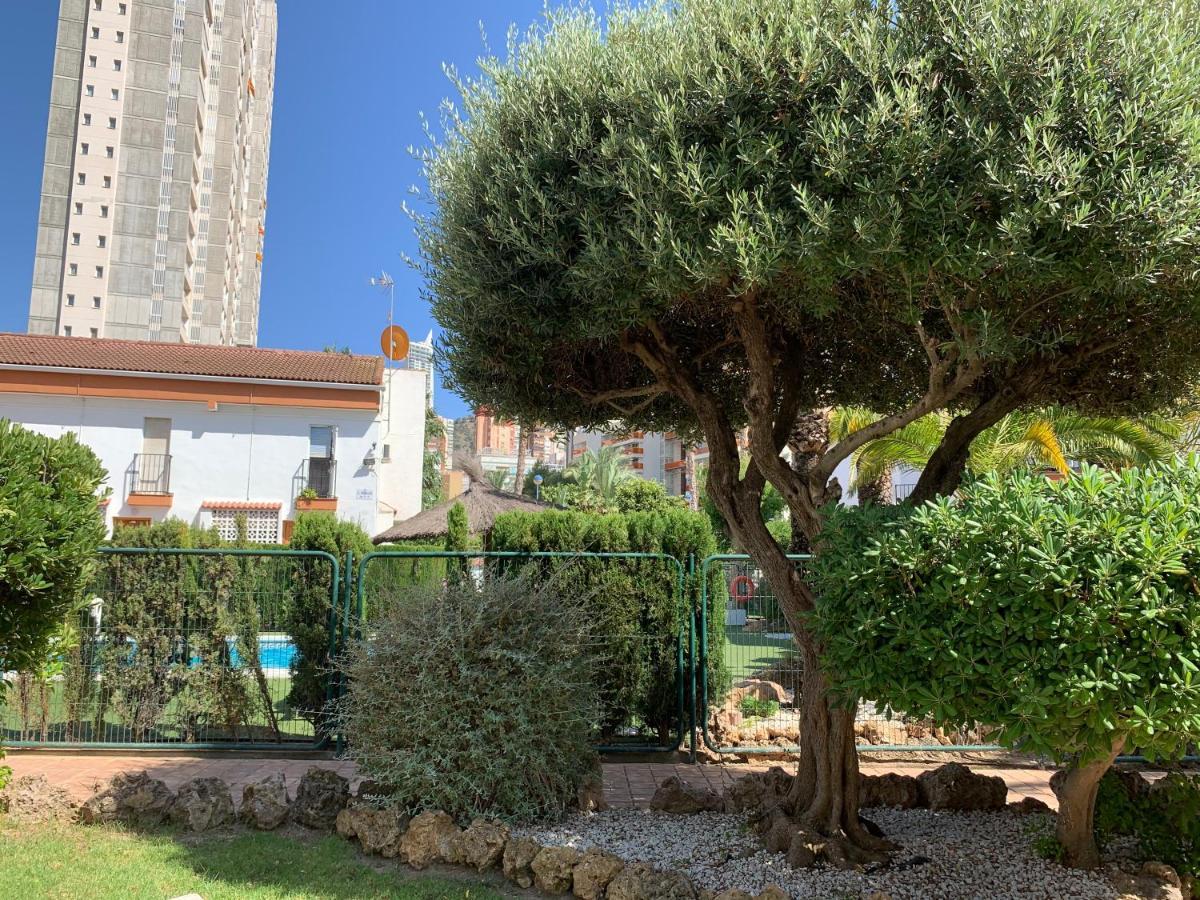Apartamento Gabriella Apartament Benidorm